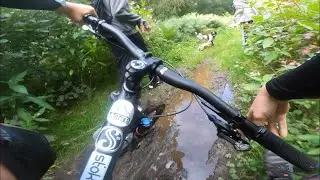 Dog walkers on the trail-Waldrige MTB