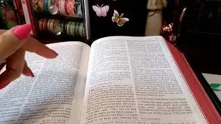 Tips to help READ your Bible cover to cover #tips #bible