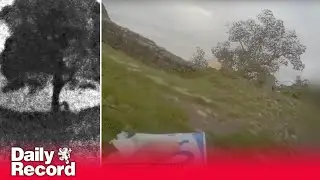 Moment iconic Sycamore Gap tree is cut down with chainsaw shown in court
