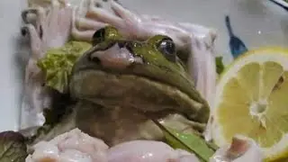 Comida viva en pleno restaurante