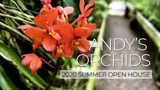 Andy's Orchids 2020 Summer Open House - An Orchid Species Specialist with over 750,000 Plants