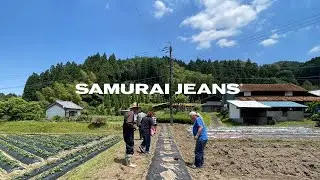 Samurai Cotton Project in Bonchi Walker's Field.