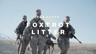 Fun Facts: Portable stretcher