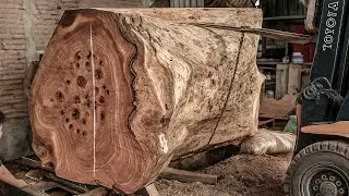 Cutting $70 Million Wood ‼️ Battle Against Poisonous Animals in the Forbidden Forest