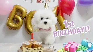 My Dog's First Birthday Party!