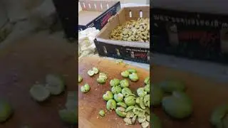 How to pit olives