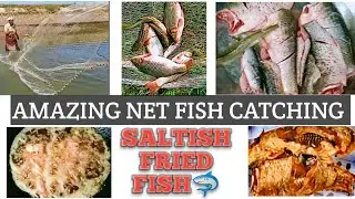 Amazing Traditional Net Fish Catching in Gujranwala Punjab Pakistan | Saltish Fried Fish | مچھلی