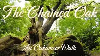 Discover the Chained Oak: Oakamoor to Alton Walk! 🌳✨