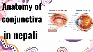 Anatomy of conjunctiva in Nepali#eyepart#study #eye 
