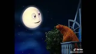 P.T Flea reacts to Bear and Luna (Video Version)