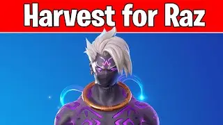Harvest a wolf fang, a boar tusk, and three chicken feathers for Raz (All Spire Quests in Fortnite)