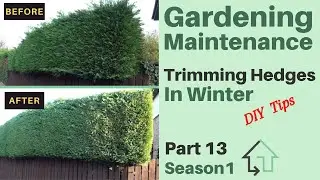 Gardening Maintenance Trimming Hedges in Winter - Part 13, Season 1