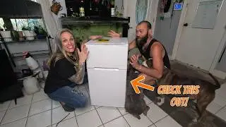 Check Out This Fridge & Freezer COMBO Perfect for Dorm/Rooms