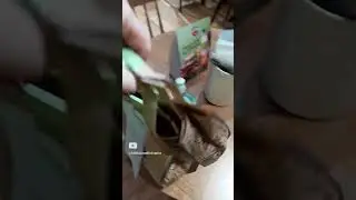 How much money I made with Uber Eats/ Bike Australia
