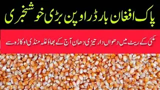 DHAN PRICE TODAY OKARA MANDI PUNJAB MAIZE RATE TODAY OKARA MANDI PUNJAB PAKISTAN 05.01.2026