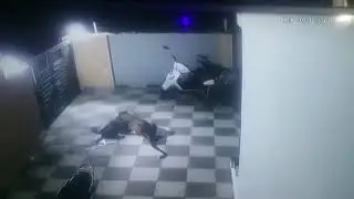 CCTV footage of a leopard attacked the house dog Margalla Road, Islamabad Becareful