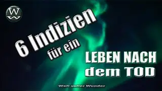 Leben nach dem Tod - 6 Indizien