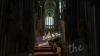 Organ at #Cologne #Cathedral #travel #shorts #music #gothic