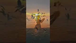 Чайка