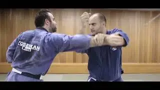 Yoseikan Budo Geneve   MMA, Self Defense