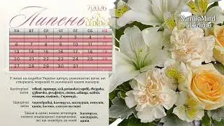 ЛІТО ЛИПЕНЬ - Instrumental Music | ПОРИ РОКУ | Музика для Душі | SamiraMind Lediora || SUMMER JULY
