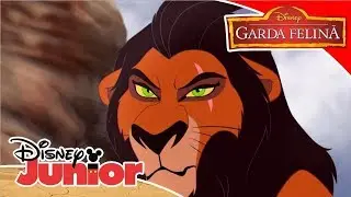 🎧 Când am devenit Scar | Garda Felină | Disney Junior România