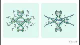 Errors to Equity in Genomics
