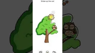 Can YOU Wake the Sleeping Owl? 🦉☀️ (Only 1% Pass This Genius Test!)