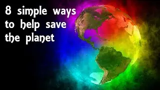 8 SIMPLE WAYS TO HELP THE ENVIRONMENT | MAKE THE WORLD A BETTER PLACE