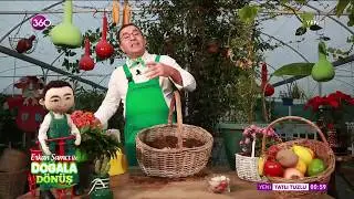 Doğala Dönüş - Evde Soğan ve Sarımsak Yetiştirmek - 24 12 2018