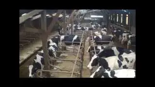 Aprem a la ferme