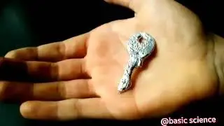 Gallium (Ga) Metal Gallium will melt if you keep on your hand