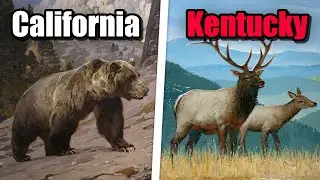 Seven Recently Extinct Animals of the United States