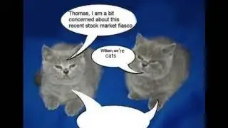 William, we&rsquo;re cats. (Stock market fiasco)