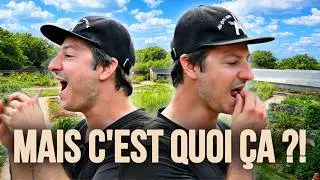 Ce parc cultive des légumes que vous n'avez JAMAIS vus