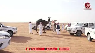 دخول  إشواط مهرجان الملك عبدالعزيز لنسخته التاسعه مجاهيم مفاريد قعدان دق قعدان جمل20 سواحل