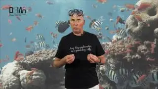 Rene Grüter über Bestplacement
