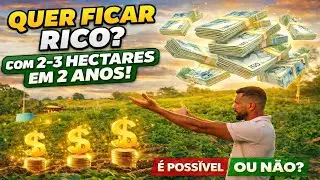 É POSSÍVEL FICAR RICO COM 2 OU 3 HECTARES EM APENAS 2 ANOS? 🌱💰