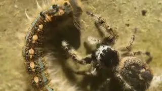 Nasa Explore Earth Connection #EarthConnection #PlanetEarth