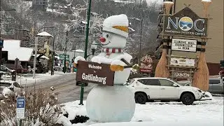 Snowy The Daily Live Drive in the Smoky Mountains