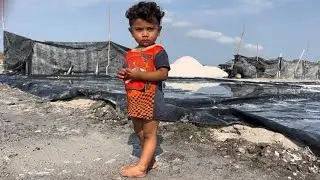 La zafra de la sal 2025 en #Cuyutlán #Colima, una de las mejores del mundo!