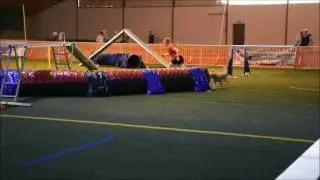 Finale von Mix&Breed 2016 1.Tag - Cevin