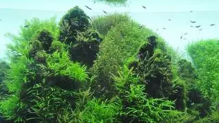 Sumida Aquarium