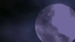 A Strangeness - Thomas Farnon (Video)