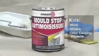 How To Apply Zinsser Mould Stop Primer
