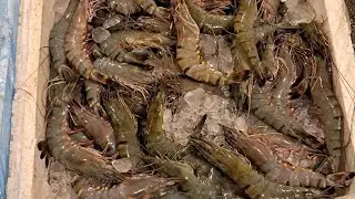 fish cutting skills america | fish cutting skills viral cutting skills | big fish cutting india