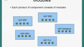 Introduction to SAP ERP SD