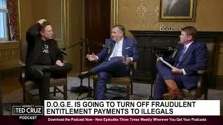 ELON MUSK &ldquo;The single biggest thing Democrats are worried about is turning off fraudulent payments