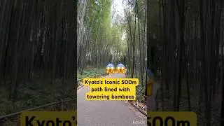 Nature&rsquo;s Green Tunnel in Kyoto 🌿 Arashiyama Bamboo Forest #japan #shorts #trending #ytshorts #viral