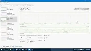 Task Manager series Disk usage information in the performance tab